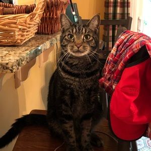 Meet your Posher, Eileen